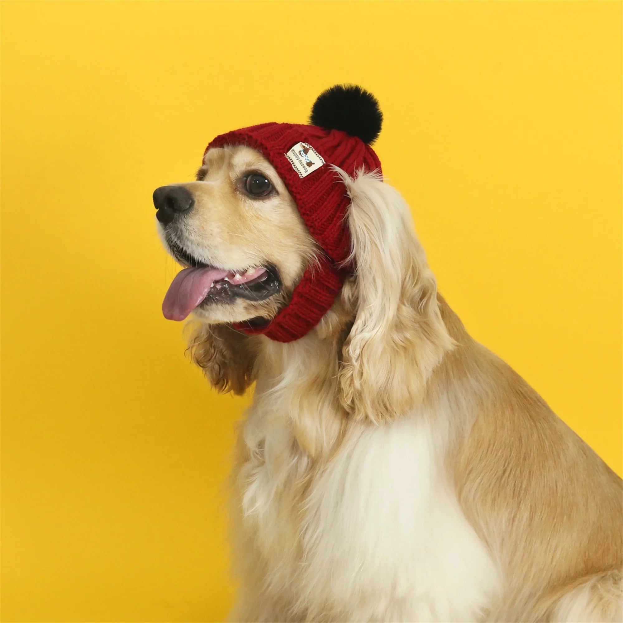 Cozy Holiday Hat for Dogs & Cats